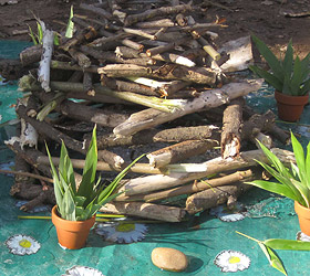 Workshop NaturArt . Heidelberg